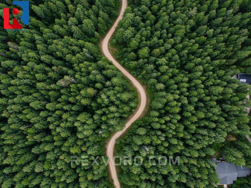 aerial-view-of-a-winding-dirt-trail-in-a-dense-forest-bordering-a-suburban-neighborhood