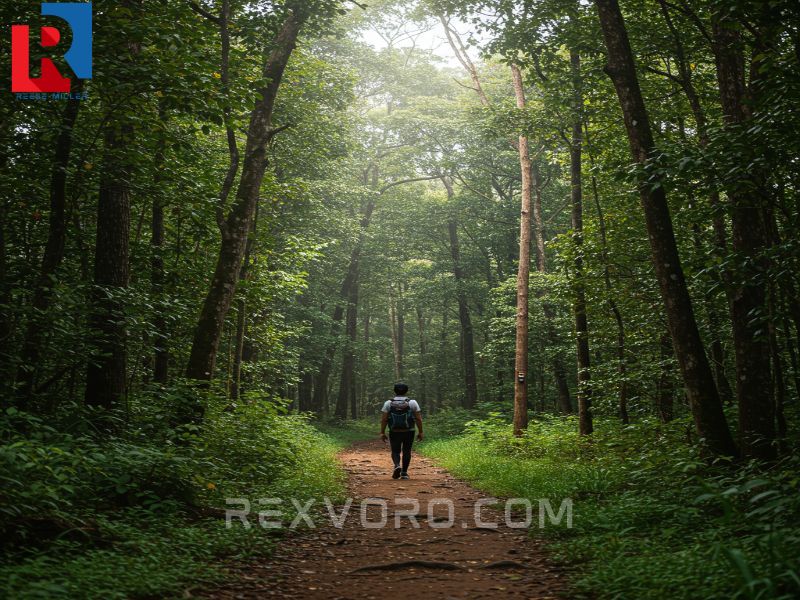 hiking-in-a-natural-recreation-nat-rec-area-highlighting-the-mental-and-physical-benefits-of-exploring-recreational-places