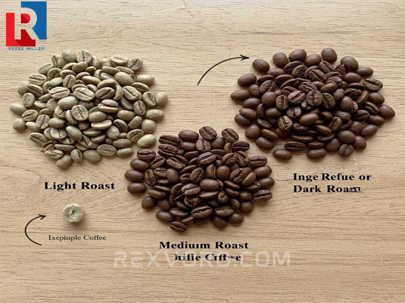 visual-comparison-of-light-medium-dark-roasted-coffee-beans-and-a-single-green-bean